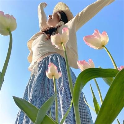 大象菩提